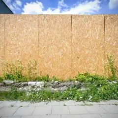 Płot z płyt OSB, na którym widać ślady po tynku, otacza dziką zieleń.