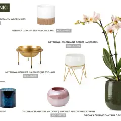 Jaka doniczka do storczyka? Elegancka, zielona, ceramiczna osłonka Talia podkreśli piękno Twojej rośliny.
