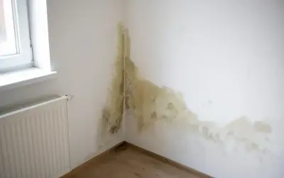 Pleśń na ścianie przy oknie i grzejniku. Brak ocieplenie ścian od wewnątrz mogło spowodować ten problem.