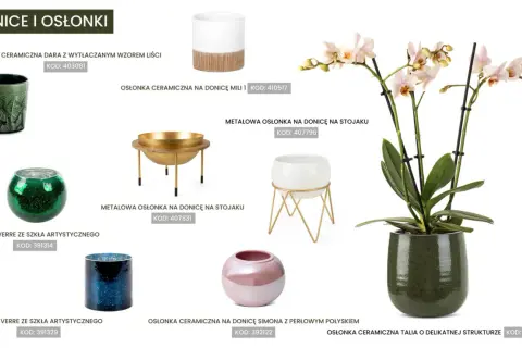 Jaka doniczka do storczyka? Elegancka, zielona, ceramiczna osłonka Talia podkreśli piękno Twojej rośliny.
