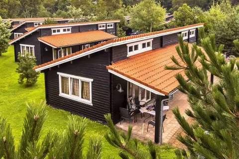 Czarny bungalow z pomarańczowym dachem, otoczony zielenią. Idealne miejsce na wakacje, czyż nie?
