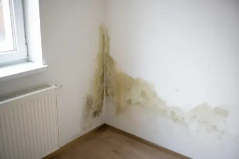 Pleśń na ścianie przy oknie i grzejniku. Brak ocieplenie ścian od wewnątrz mogło spowodować ten problem.