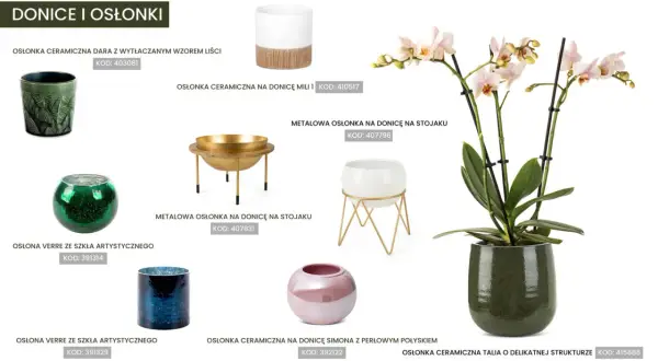 Jaka doniczka do storczyka? Elegancka, zielona, ceramiczna osłonka Talia podkreśli piękno Twojej rośliny.