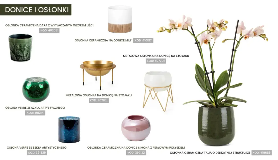 Jaka doniczka do storczyka? Elegancka, zielona, ceramiczna osłonka Talia podkreśli piękno Twojej rośliny.