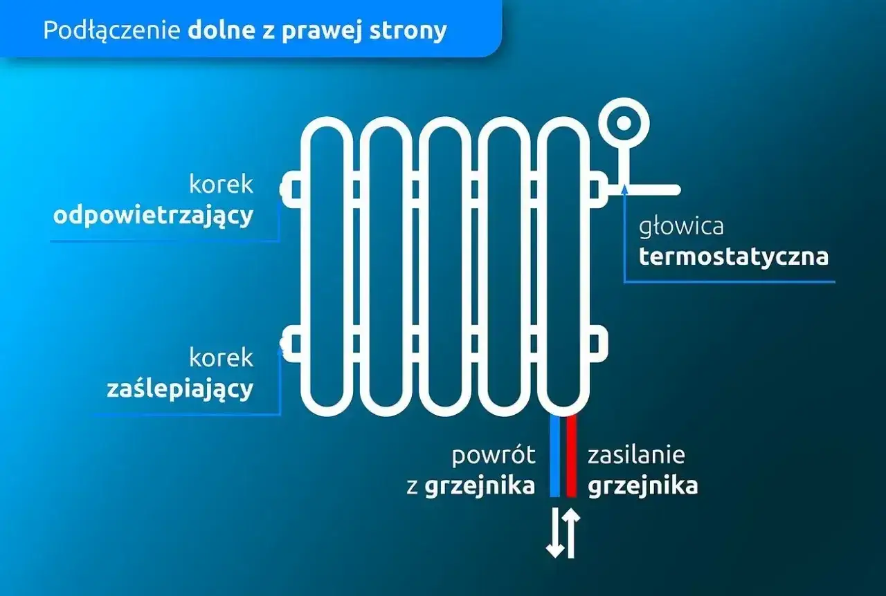 Schemat podłączenia grzejnika od dołu z prawej strony: głowica termostatyczna, korek odpowietrzający, korek zaślepiający, zasilanie i powr&oacute;t.